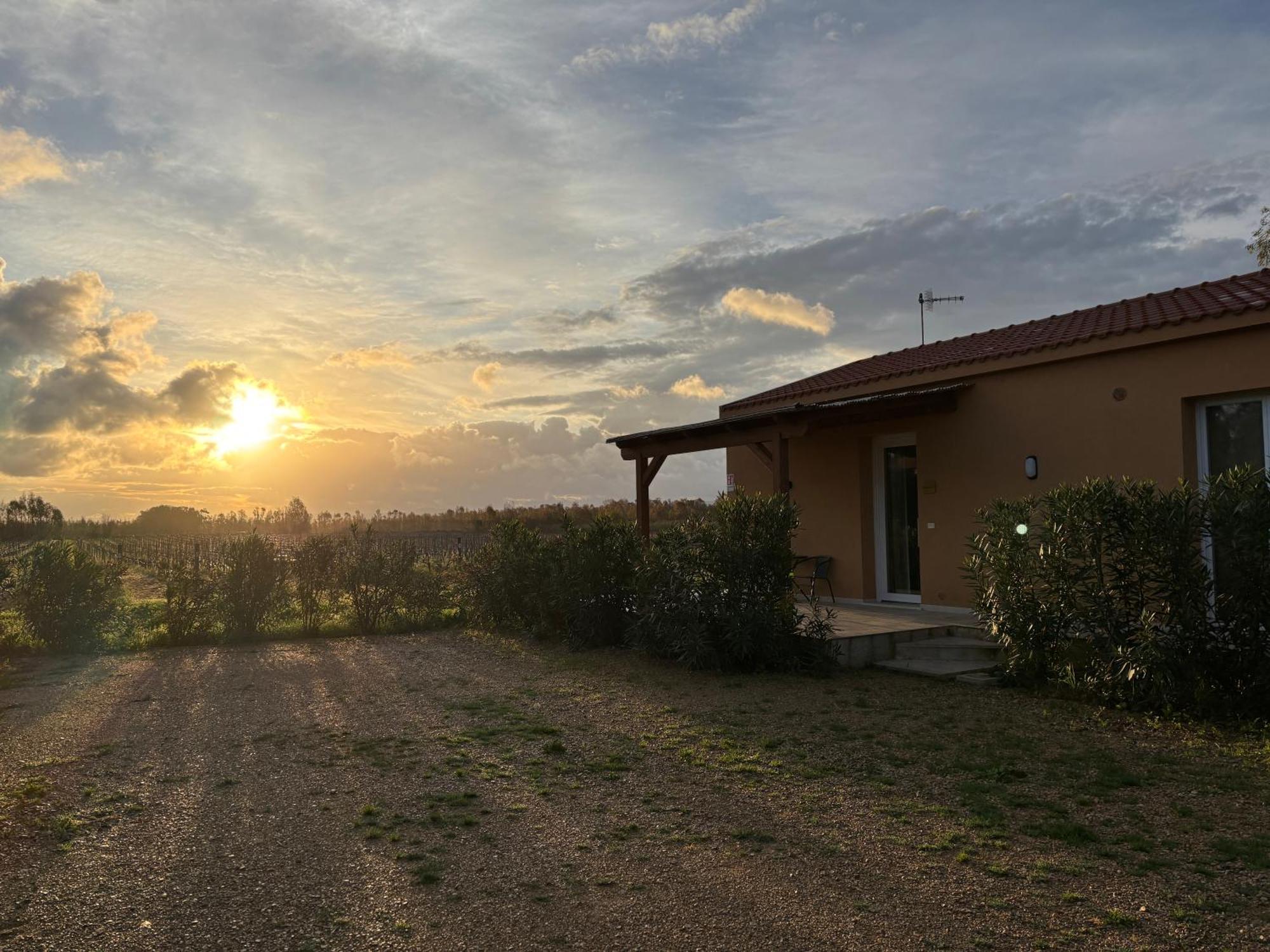 Maris Suite - Appartamento Con Vasca Idromassaggio Alghero Eksteriør billede